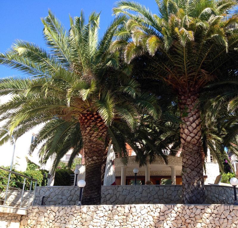 Apartments Rukavina روغوزنيكا الغرفة الصورة
